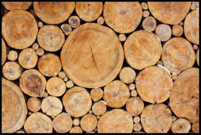 Tapis doux en Velvet motif rondins de bois réalistes 45 x 75 cm