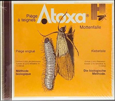 Piège antimites alimentaires et teignes 100% naturel, adhésif et sans insecticide pour la cuisine.
