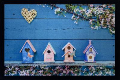 Tapis Entry Birdhouses Welcome Turquoise 40x60cm