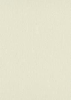 Papier peint vinyle plat blanc cassé à la surface lisse