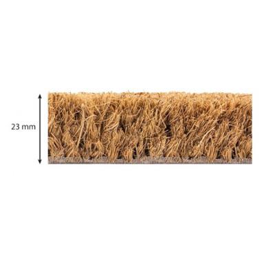 Tapis d'accueil brosse coco Dencity écru PMR, épaisseur 23mm, antidérapant