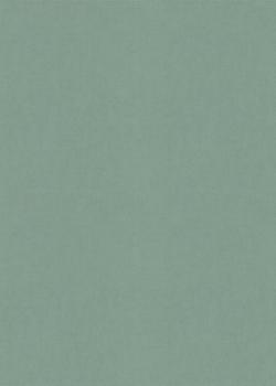 Papier peint Vinyle grainé sur intissé Calma Vert avec texture discrète